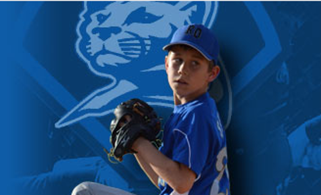 Rogers Otsego Youth Baseball Association