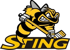 Troy Sting Travel Hockey