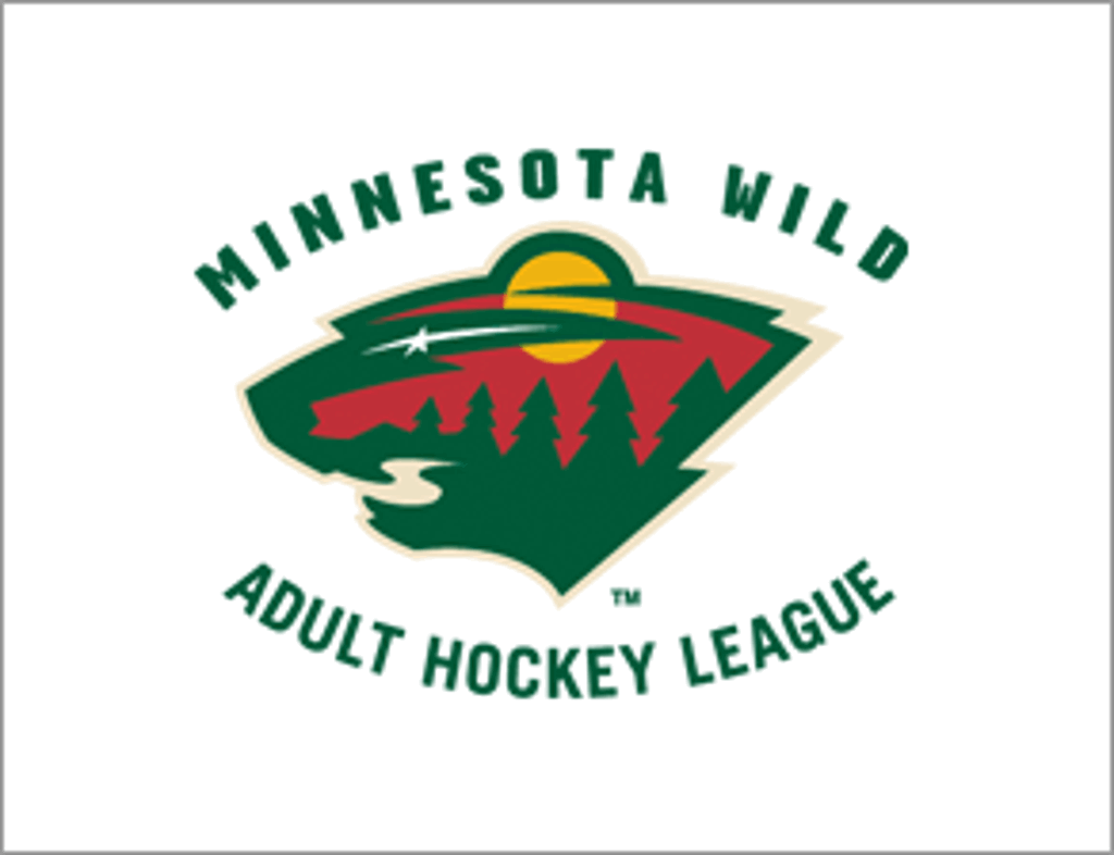 Mn Wild Adult Hockey League 9