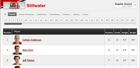 Sport Ngin Online Registration Rosters