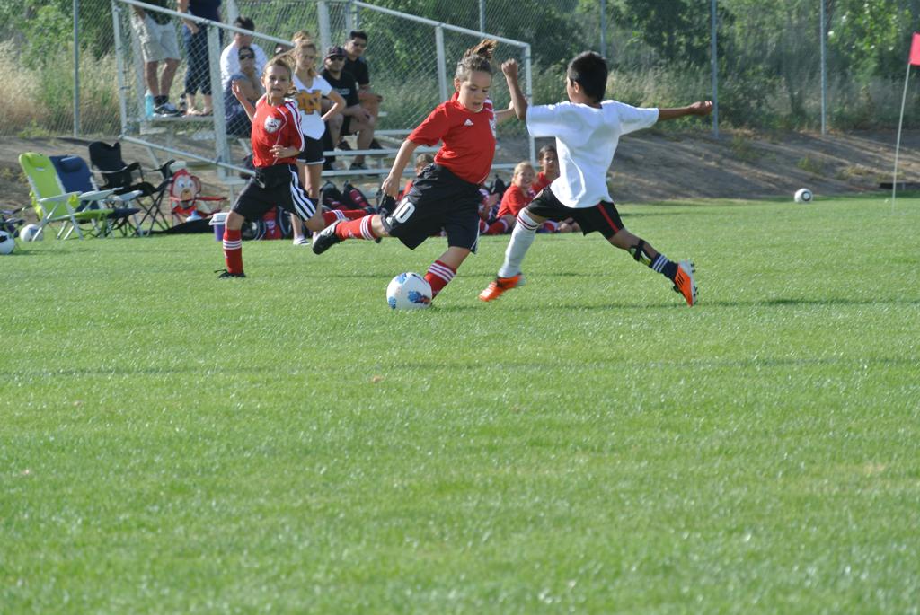 Dsc_0719_large