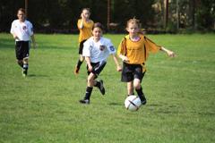Img_0690_small