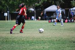 Dsc_0947_small
