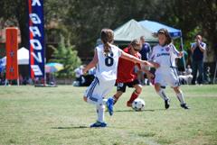 Dsc_0766_small