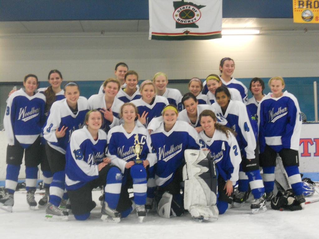 Armstrong/Cooper All Stars Holiday Tournament Consolation Champions 2012