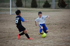 Dsc_0339_1024x681_small
