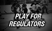 Play For Regulators