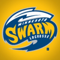 Swarmphoto_medium