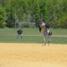 Baseball_apr_29_lets_gooo_012__2__small