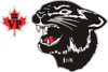 Volunteer_pool_bearcats_element_view