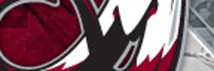 Away Team Logo