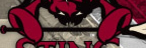 Away Team Logo