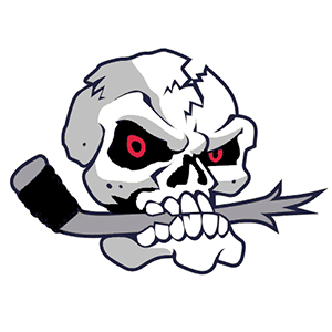 lehigh valley rebels