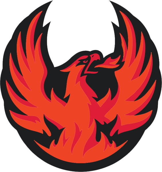 Lancaster Firebirds logo