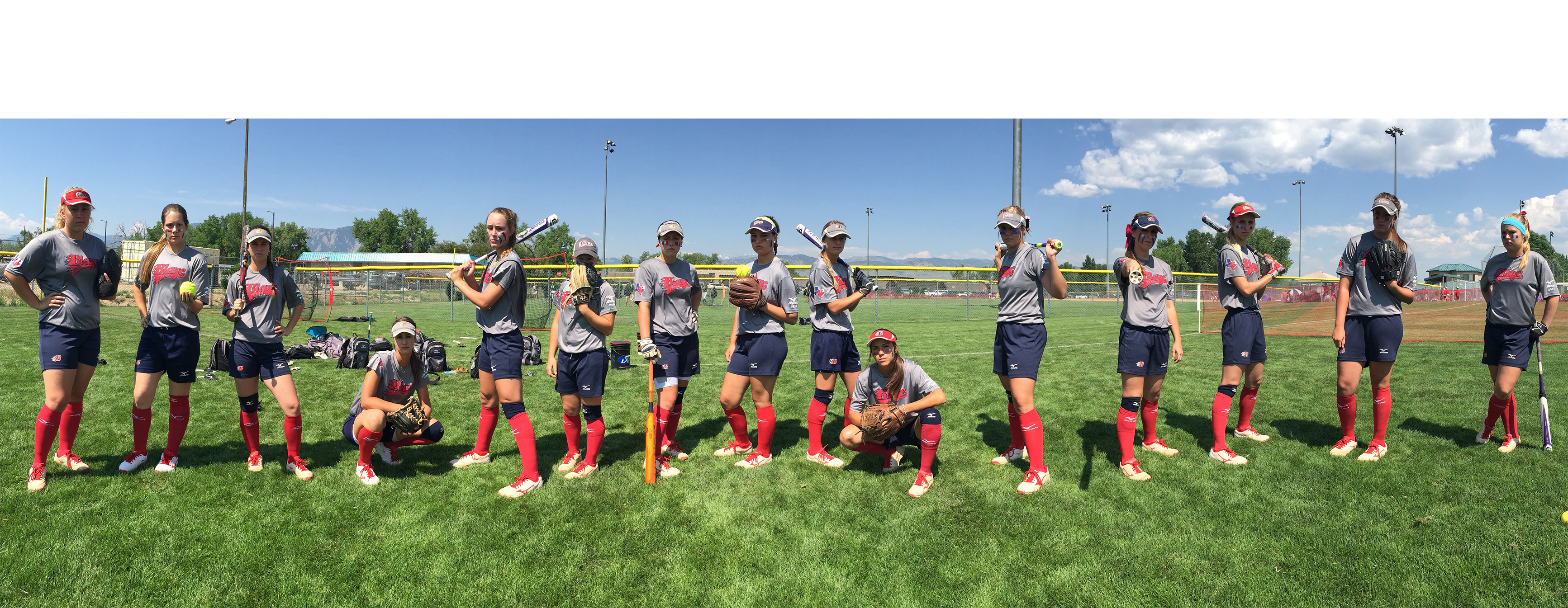 top 5 softball websites