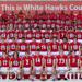 2021 White Hawks football team