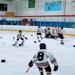 Squirt Jr. Bears tackle goalie on the ice in championship celebration 