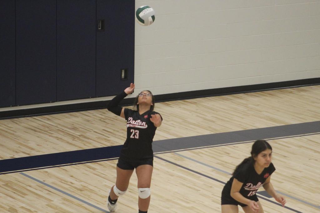 Volleyball