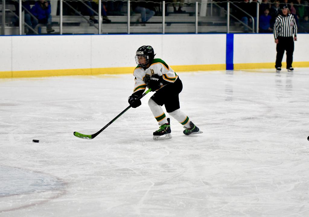 Photos Mounds View Irondale Youth Hockey Association