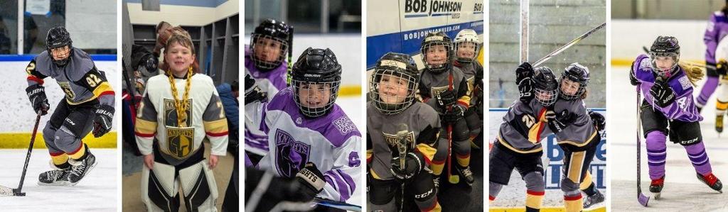 6U, 8U, 10U, 12U, 14U, 15U hockey programs