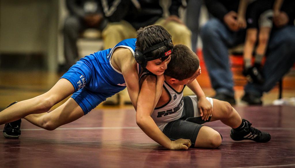 Lower Dauphin Youth Wrestling