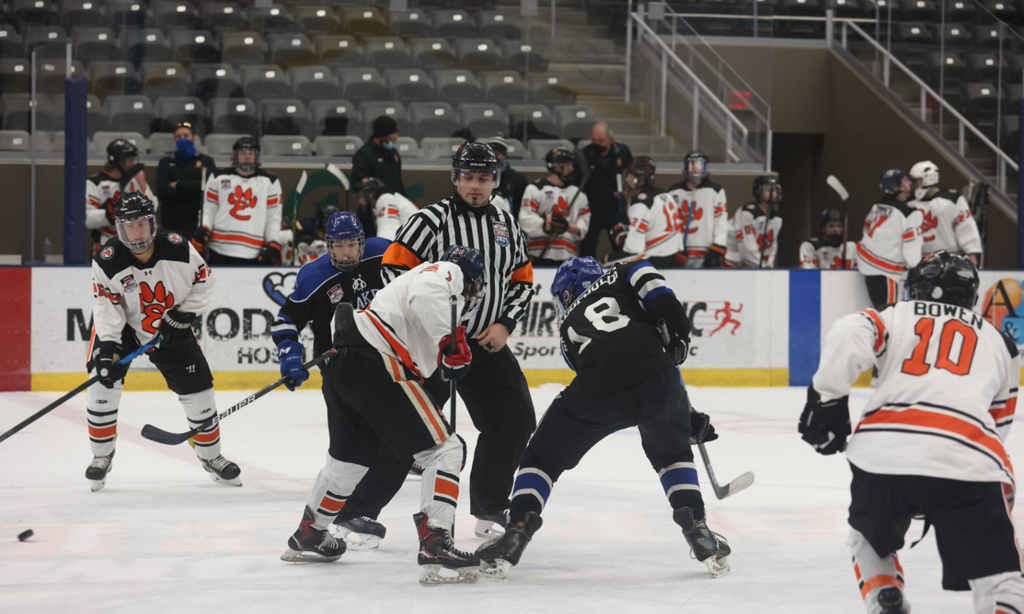 Official dropping the puck.