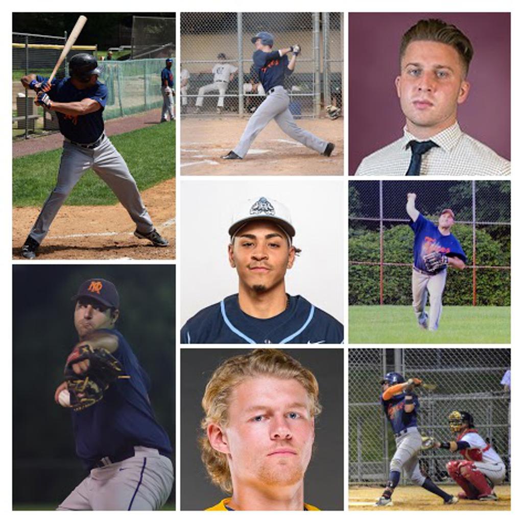 2018 Tigers ALL-STAR SELECTIONS