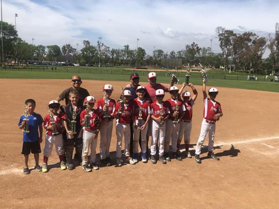 Irvine Pony Baseball