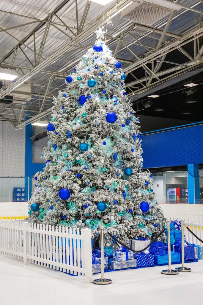 INAUGURAL CHRISTMAS TREE SKATE AT THE CUBE
