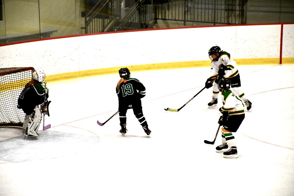  Photos Mounds View Irondale Youth Hockey Association
