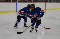Birmingham Youth Hockey