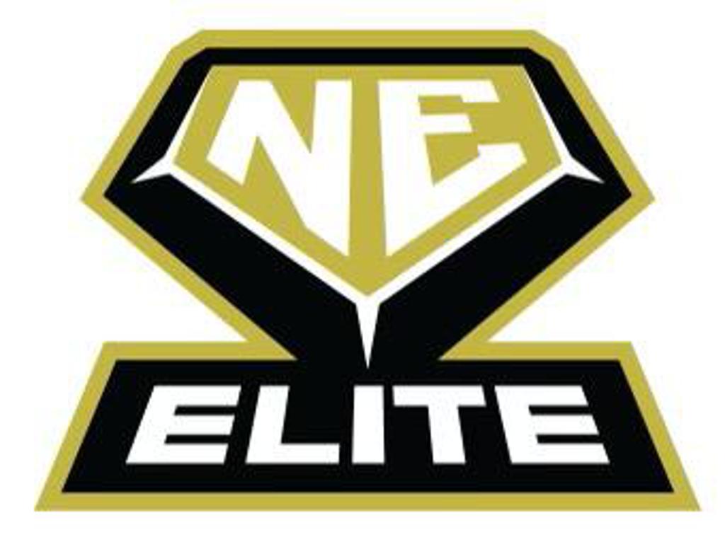 New England Elite Softball