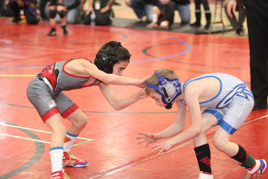 About the Sport of Wrestling