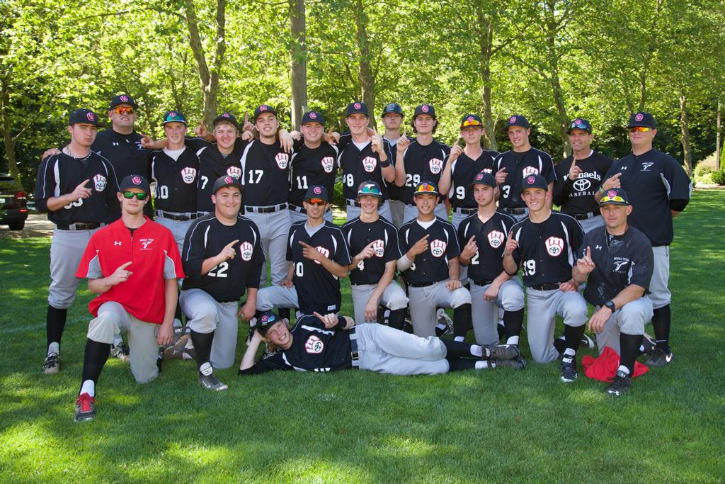 Michaels Toyota Baseball