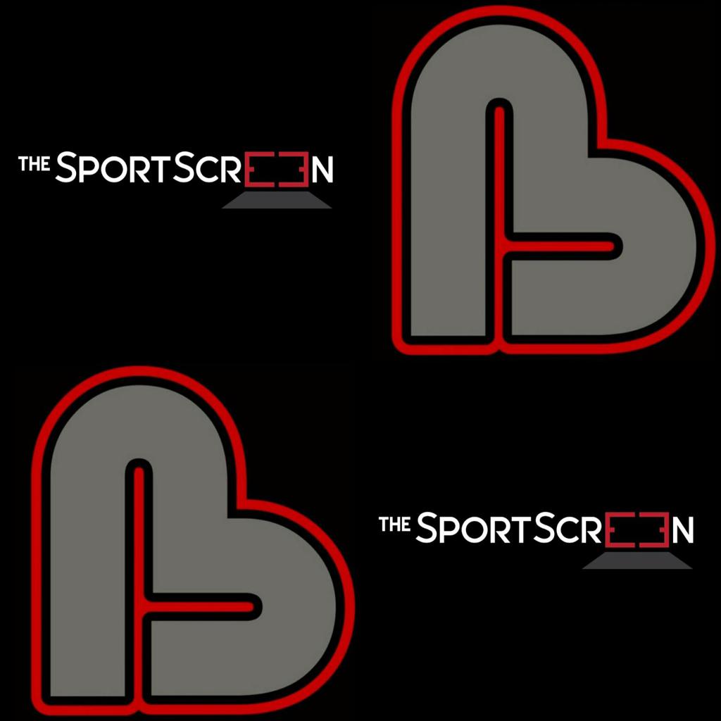 THE SPORTS SCREEN
