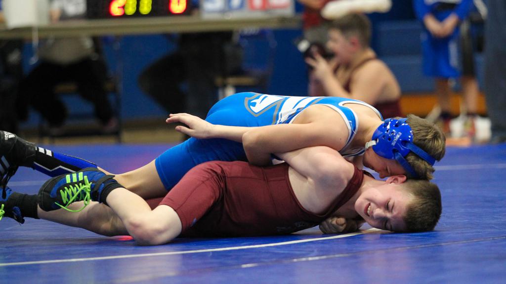 Lower Dauphin Youth Wrestling