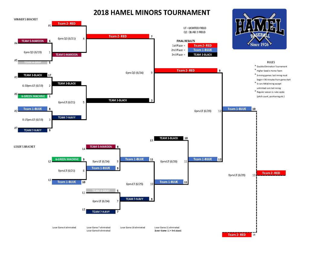 Little League Minors Blue Division