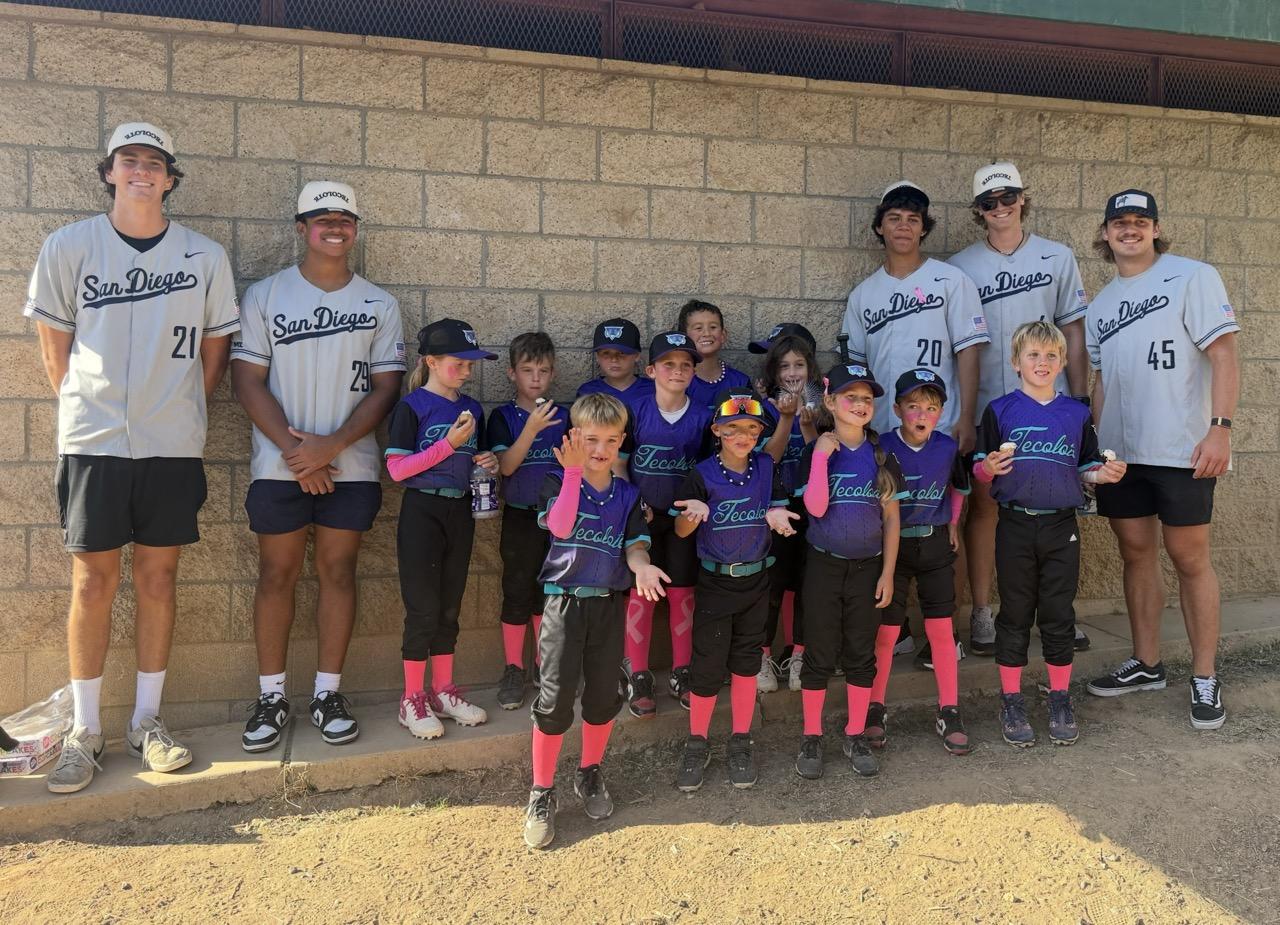Tecolote Youth Baseball gallery image 5