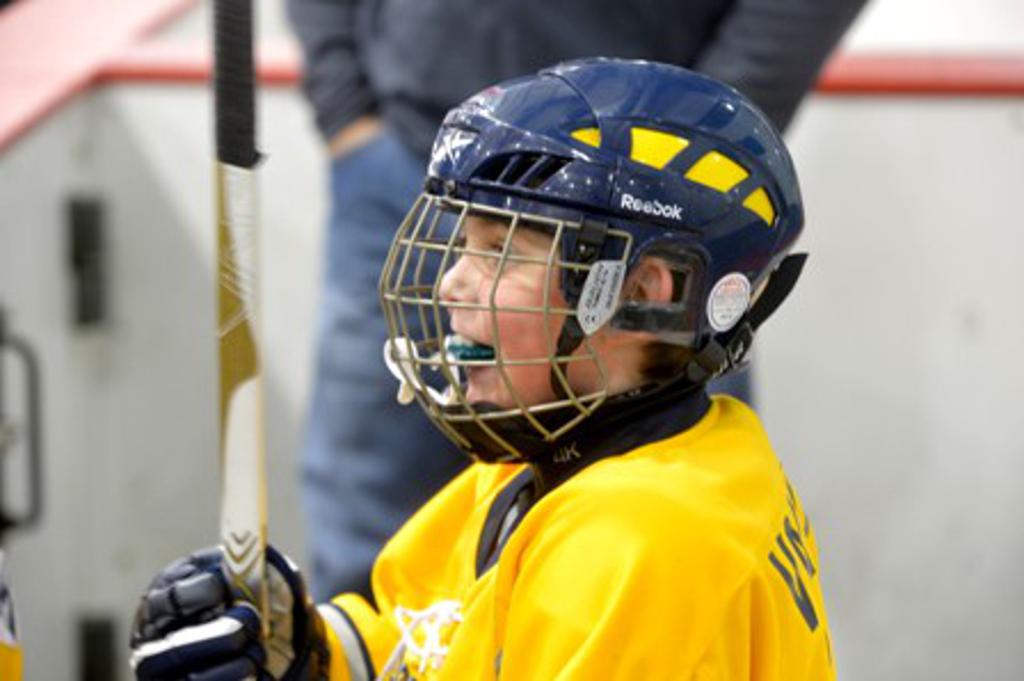 Association Photos Photos Wyandotte Warriors Hockey Association