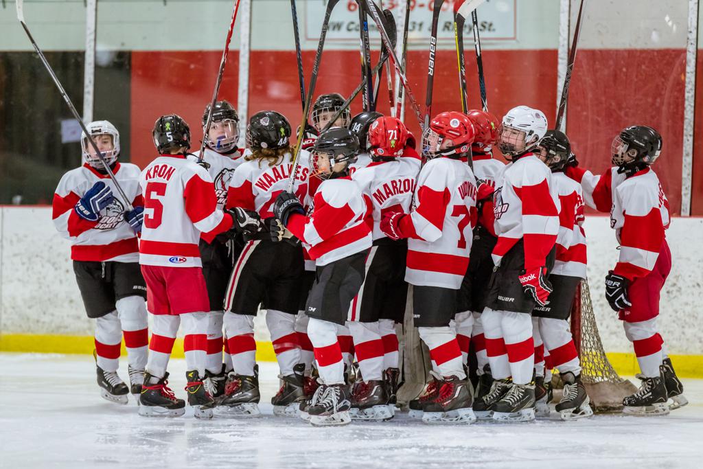 PEEWEE AA 201617 Photos West Michigan Ice Dogs Hockey/Holland