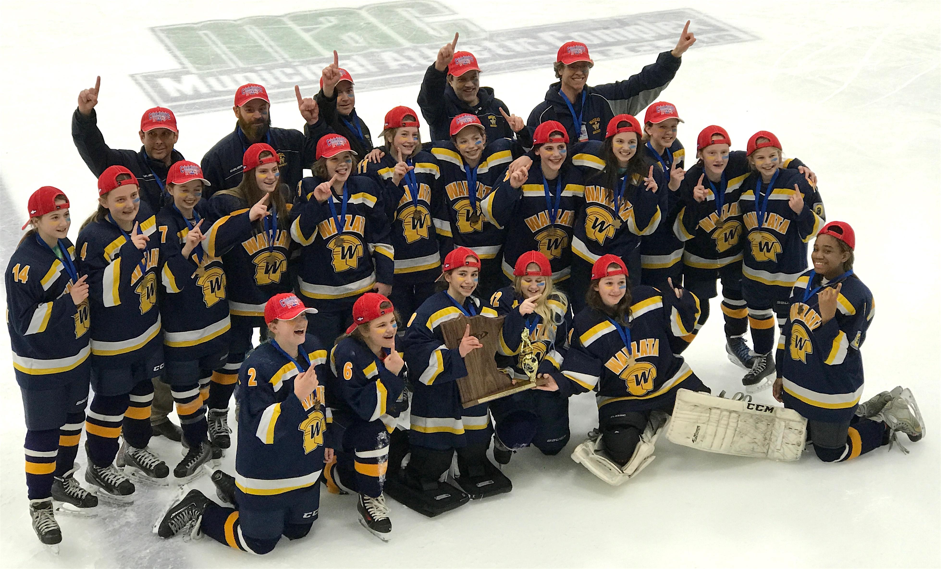 Mn Youth Hockey Hub Rankings - q3eo93w