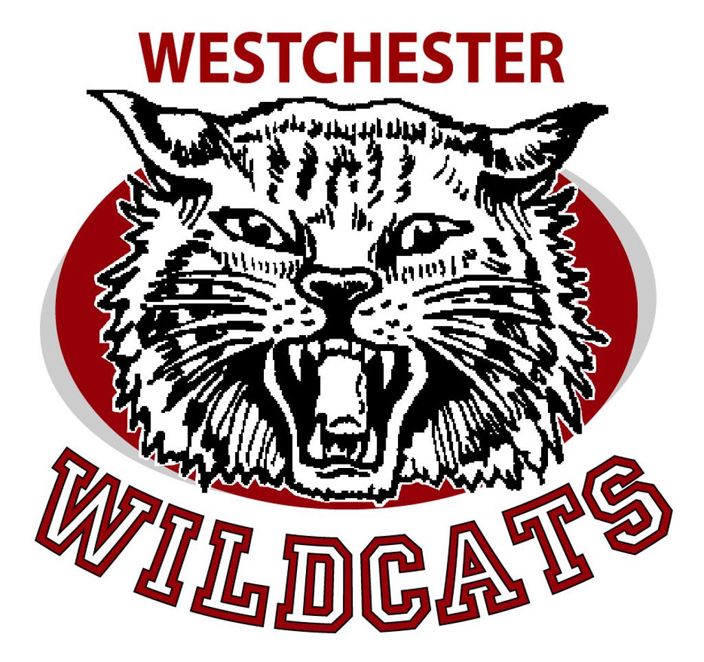 Westchester Skating Academy westchester-skating-academy