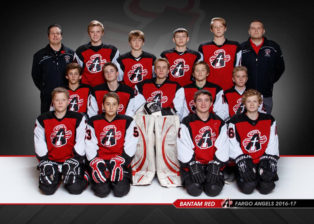 angels hockey jersey