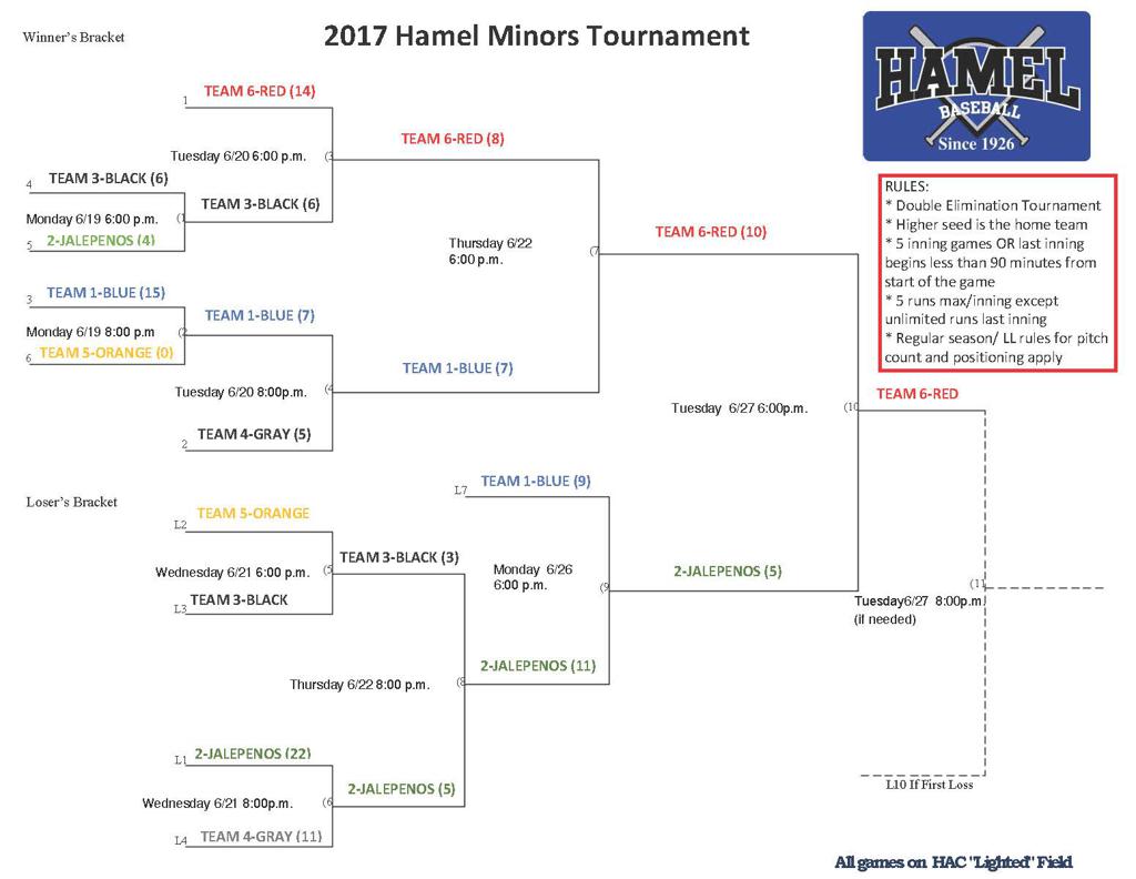 Little League Minors Blue Division
