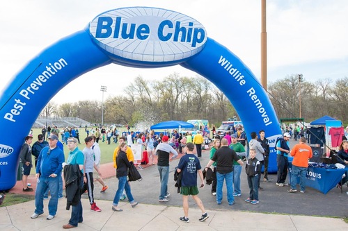 Blue Chip Fan Zone Blue Chip Pest Control Is A Family Owned Company And Has Been Serving The St Louis Community For Generations To Learn More About