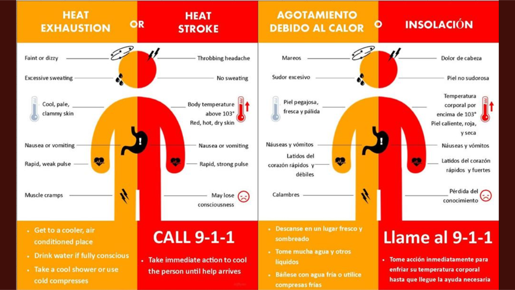 Heat Stroke or Heat Exhaustion