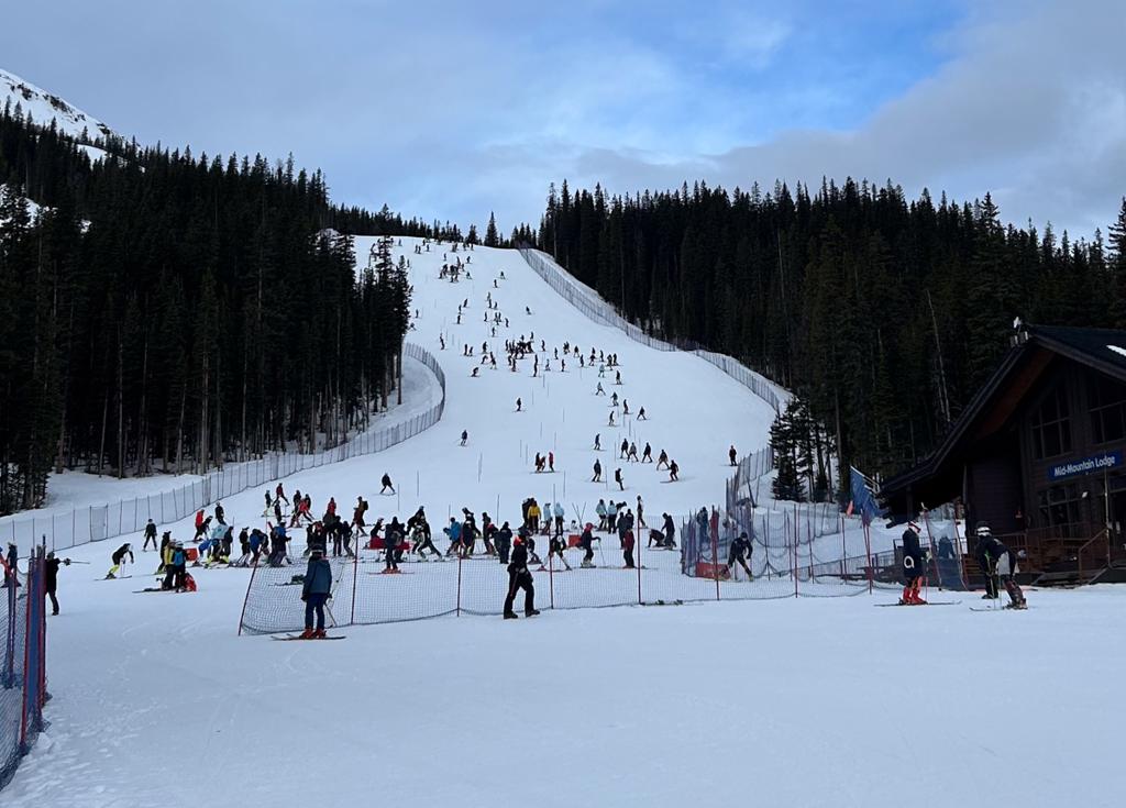 As it turns out, 250 racers make a pretty busy inspection!