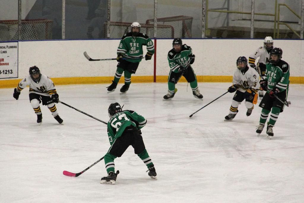 Pine Richland Rams Ice Hockey