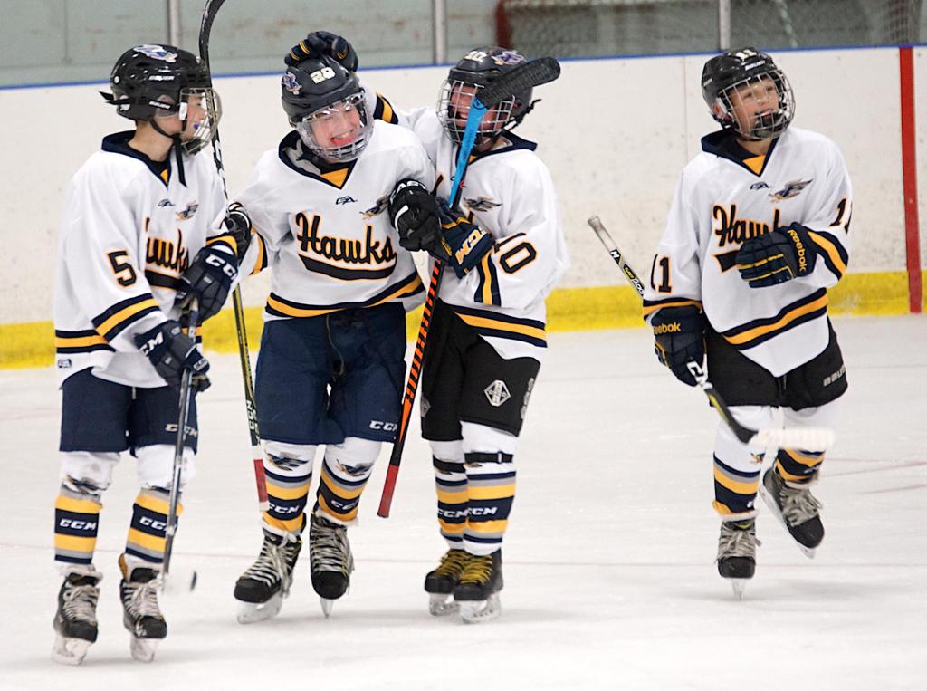 Recreational hockey essay 08 picture