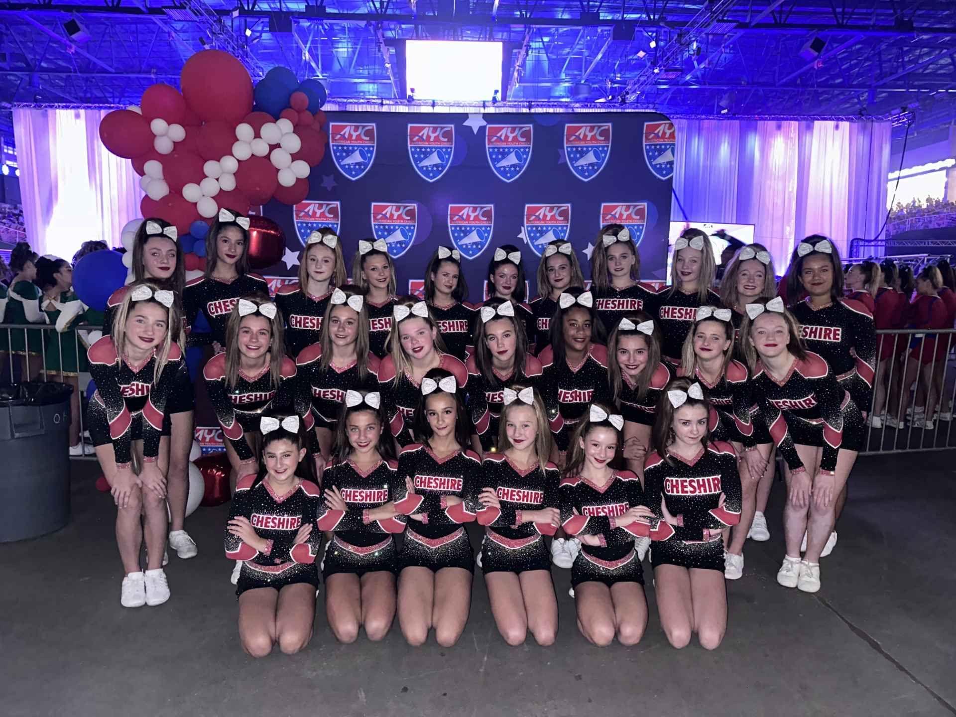 Cheshire champions